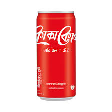 Coca Cola 250ml (Can)