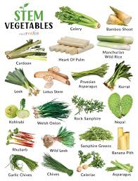 Stem vegetables