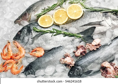 Frozen Fish